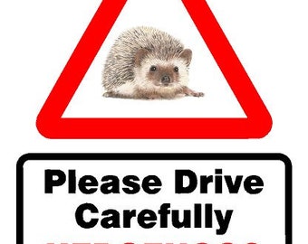 Slow Down Hedgehogs - Etsy