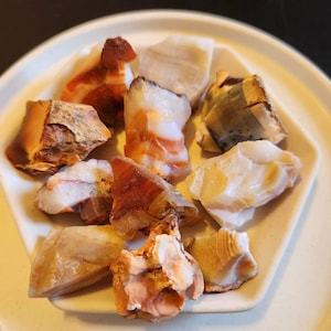 Carnelian Raw Piece. Beautiful Pieces!