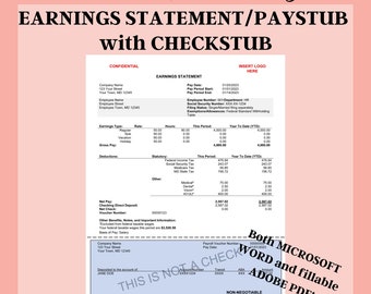 EARNINGS STATEMENT PAYSTUB with Checkstub - meets flsa requirements - pay stub - employee pay stub - pay record - customizable form