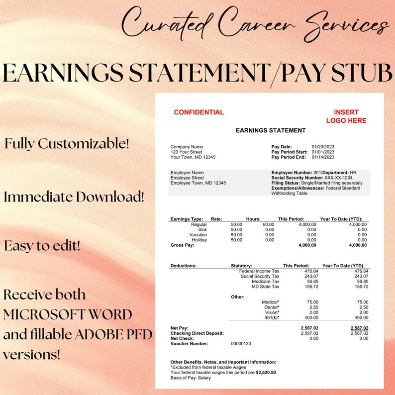 EARNINGS STATEMENT PAYSTUB Meets Flsa Requirements Pay Etsy