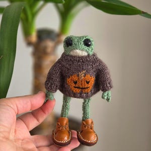 Handmade knitted Frog Toy, Frog Shoes, Amigurumi Plush Animal, pumpkin sweater