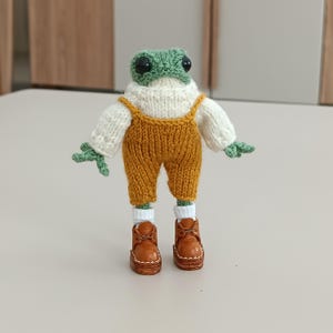 Handgemaakt gehaakt kikkerspeelgoed, kikkerschoenen, amigurumi knuffeldier. Mustart-overall