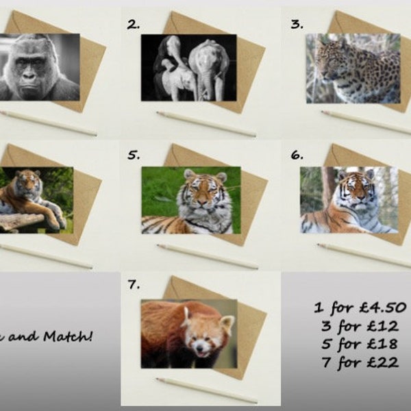 Wildlife Park Photography Postcards A6 - Mix and Match