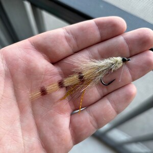 May include: A brown and white fly fishing lure with a brown hook and a white feather tail.