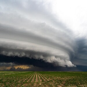 Puede incluir: Una gran nube de tormenta oscura y amenazante con una estructura giratoria y estratificada se cierne sobre un campo de cultivos verdes.