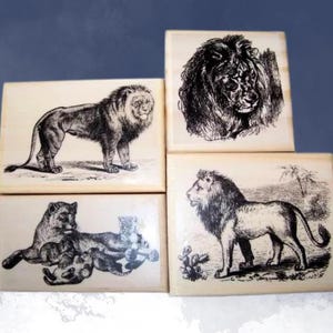 Lion Rubber Stamps Set of 4 Animal Stamps Lion Art Stamps Lion Wood Stamps LZPlate#369