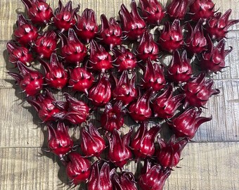 Red Sorrel Florida Cranberry Roselle Hibiscus 30 Seeds