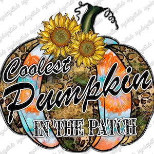 Coolest Pumpkin In The Patch Png, Fall Vibes Png, Fall Png, Pumpkin PNG, Halloween Png, Pumpkin Design, Digital Download, Sublimation Design