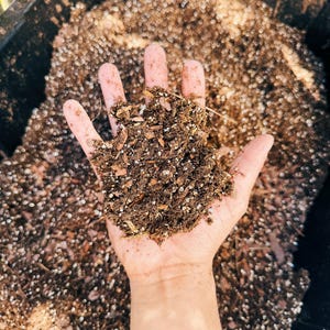 May include: A hand holding a handful of dark brown potting soil, with visible pieces of wood chips and white granules. The soil is in front of a larger container filled with the same soil, suggesting gardening or planting.