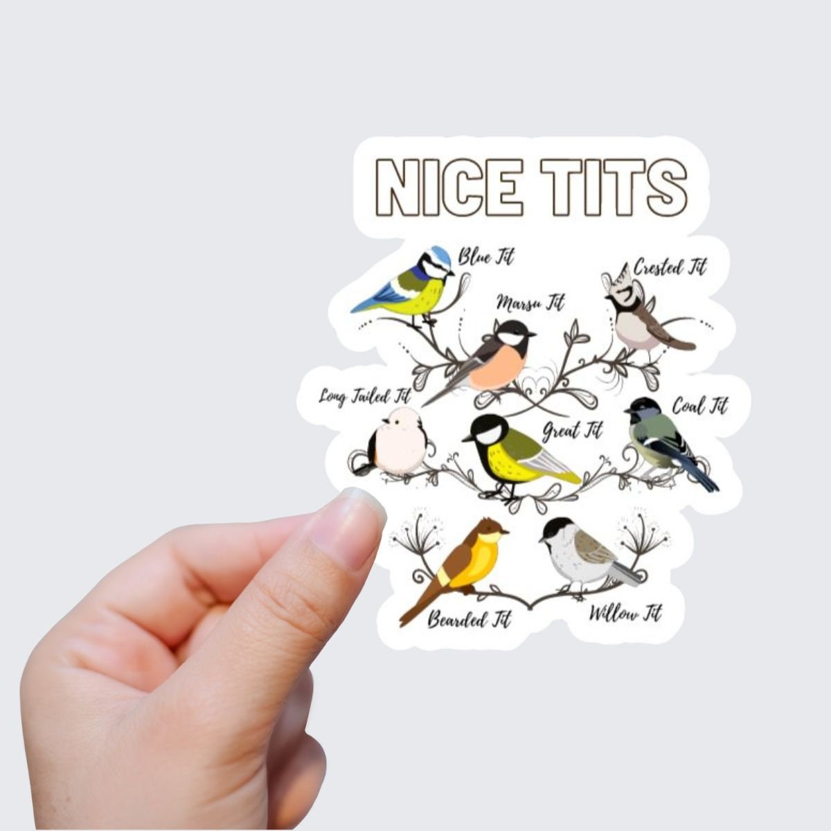Miss Fancy Pants Designs: Product Spotlight: Love Birds Die Cut Paper