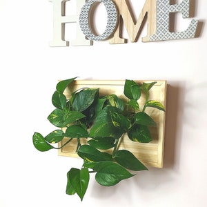 Può includere: Decorazione murale in legno con la parola "HOME" in lettere bianche, legno naturale e decorate. Sotto, una fioriera rettangolare in legno ospita una rigogliosa pianta verde, creando un elemento decorativo naturale.