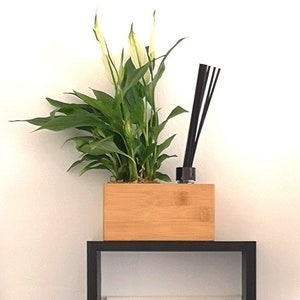 Può includere: Una mensola quadrata nera espone una pianta di Spathiphyllum in una fioriera di legno, un diffusore a bastoncini e vari oggetti decorativi. La mensola contiene una stampa pop art, una statuina della Statua della Libertà e un souvenir di Berlino.