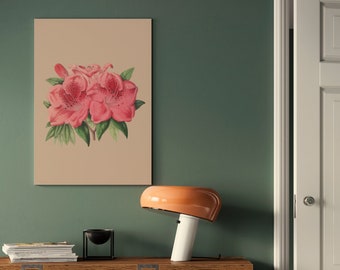 pink azalea plant poster | Vintage Botanical | eco digital print