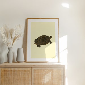 Turtle vintage digital print Classic animal Poster baby room image 5