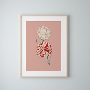 carnations spring flowers poster Vintage Botanical eco digital print image 2