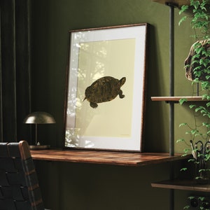 Turtle vintage digital print Classic animal Poster baby room image 1