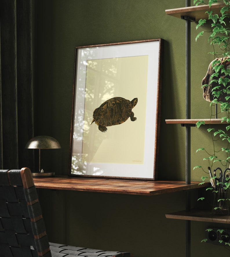 Turtle vintage digital print Classic animal Poster baby room image 1