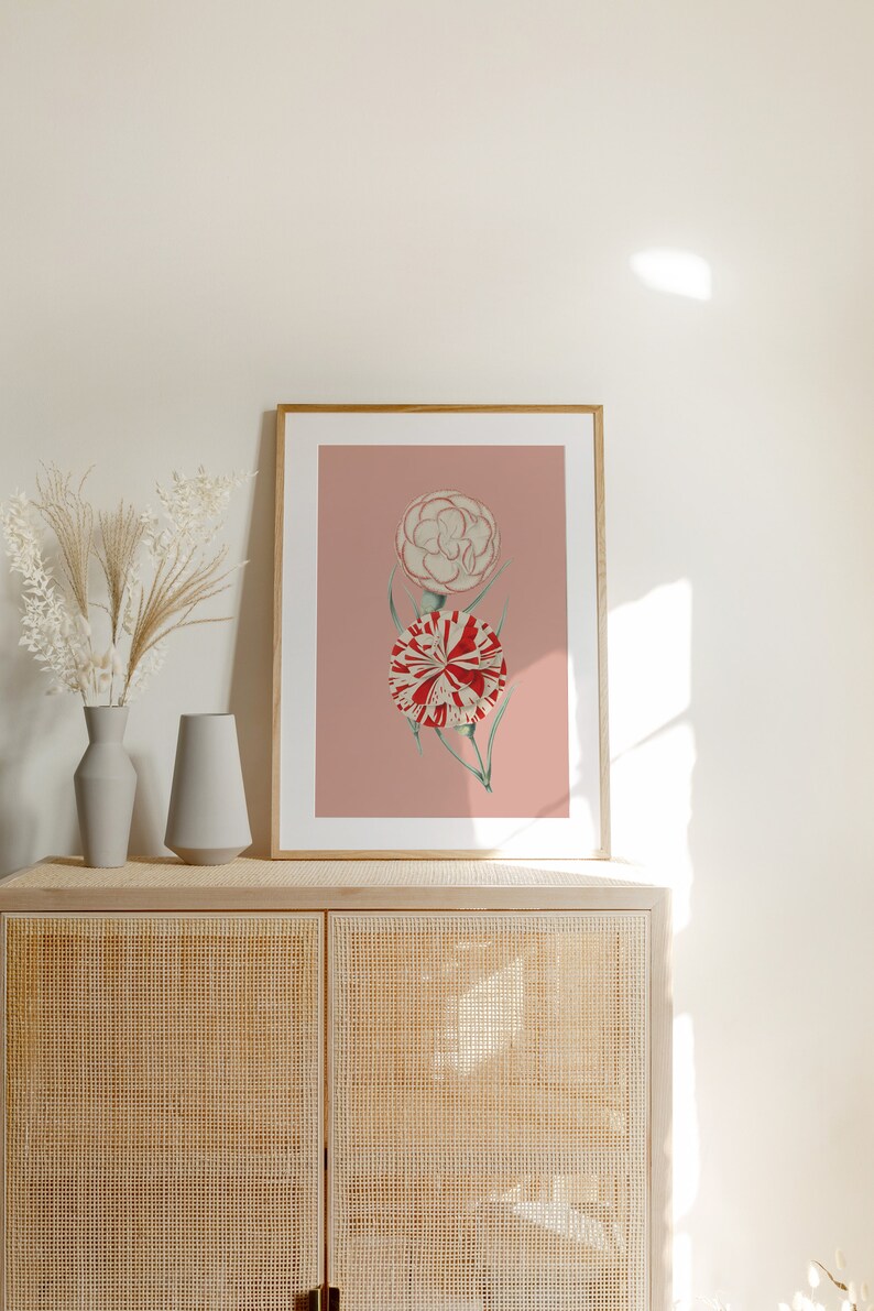 carnations spring flowers poster Vintage Botanical eco digital print image 3