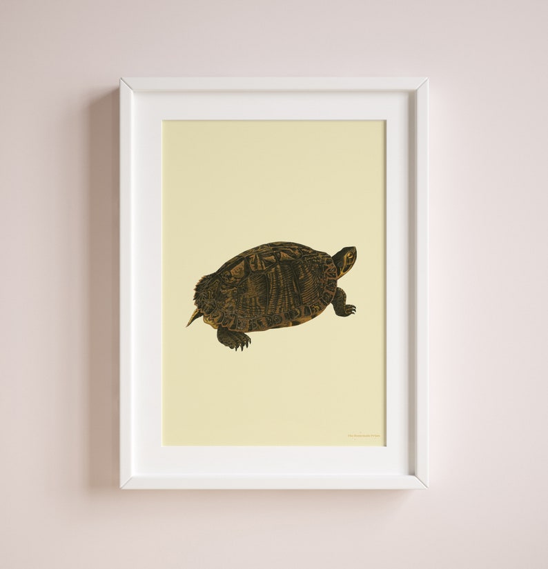 Turtle vintage digital print Classic animal Poster baby room image 3