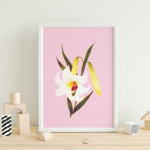 sweet white lily flowers poster Vintage Botanical eco digital print image 6