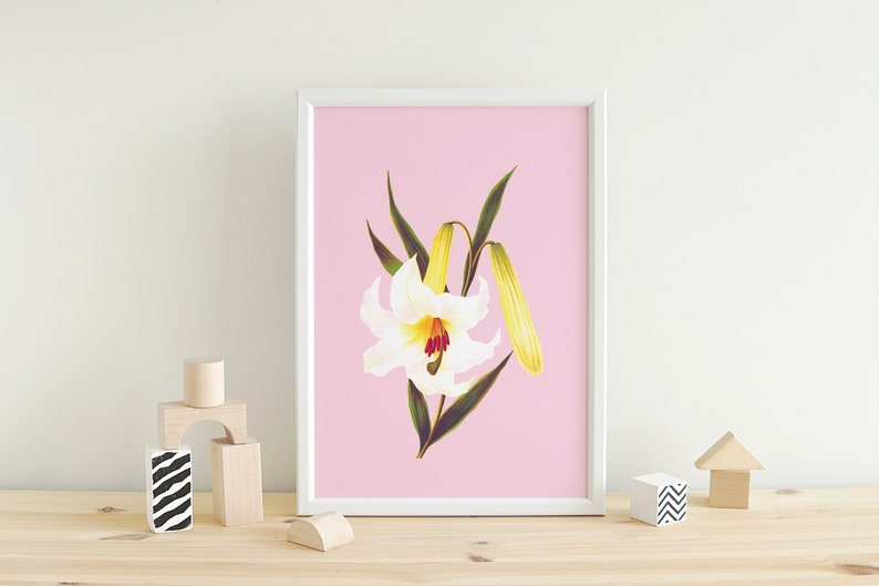 sweet white lily flowers poster Vintage Botanical eco digital print image 6