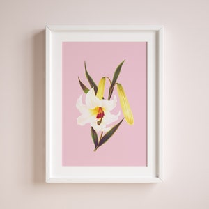 sweet white lily flowers poster Vintage Botanical eco digital print image 1