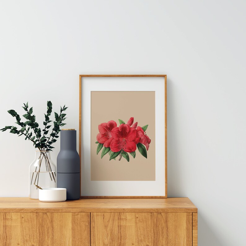 Red Azalea Plant Poster | Vintage Botanical | Eco Digital Print - Etsy