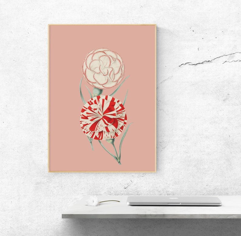 carnations spring flowers poster Vintage Botanical eco digital print image 5