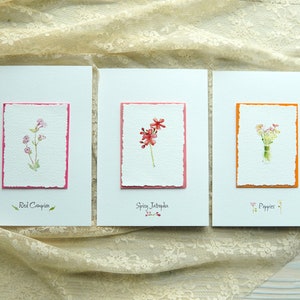 Conjunto de 3 cartões florais pintados em aquarela. Red Campion, Spicy Jatropha e Papoulas.