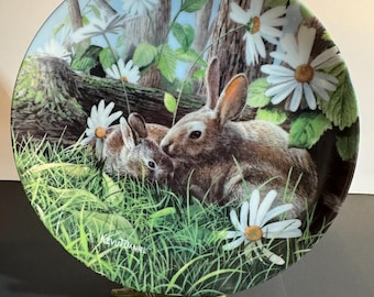 THE RABBIT collector plate by artist Kevin Daniel