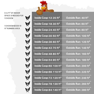 May include: A chart showing the recommended indoor and outdoor space needed for chickens. The chart shows the square footage needed for a coop and a run for 4 to 28 chickens. The chart is illustrated with a cartoon chicken.