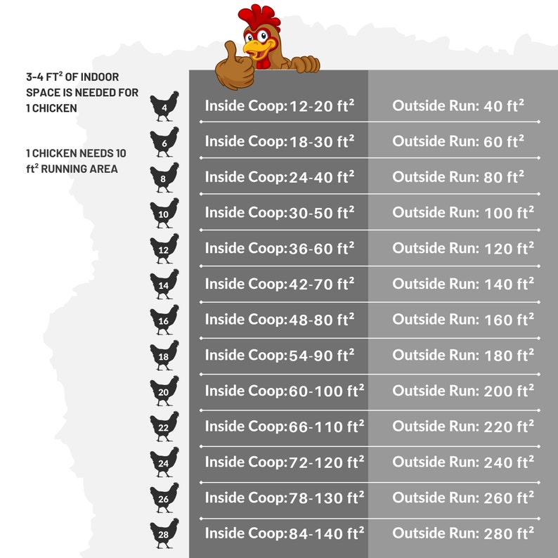 May include: A chart showing the recommended indoor and outdoor space needed for chickens. The chart shows the square footage needed for a coop and a run for 4 to 28 chickens. The chart is illustrated with a cartoon chicken.
