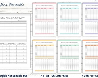 Printable Yearly Finance Overview Planner (PDF)