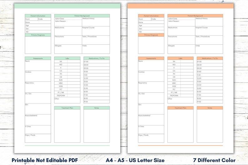Printable Nurse Report Sheet, Nurse Brain Sheet, Single Patient