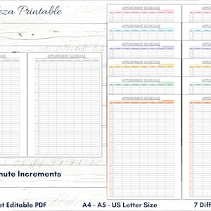 Appointment Schedule Printable Template, Daily, Weekly Appointment Sheet, Appointment Book, Small Business Appointments, Appointment Tracker