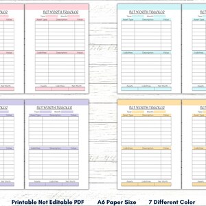 May include: Seven printable net worth tracker pages in different colors: pink, lavender, light blue, blue, yellow, light yellow, and peach. Each page has a table with columns for year, month, asset type, description, and value. The pages are labeled "Net Worth Tracker" and are designed for A6 paper size.