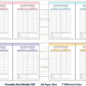 May include: Seven printable net worth tracker pages in different colors: pink, light blue, lavender, light yellow, peach, and two shades of blue. The pages are designed for A6 paper size and are not editable. The text on the page reads "Net Worth Tracker".