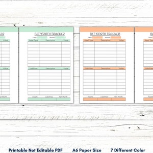 May include: Four printable net worth tracker pages in different colors. Each page has columns for year, month, asset type, description, and value. The pages are labeled "Net Worth Tracker".
