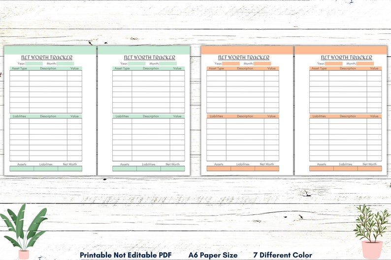 May include: Four printable net worth tracker pages in different colors. Each page has columns for year, month, asset type, description, and value. The pages are labeled "Net Worth Tracker".
