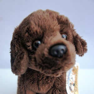 Mini sales chocolate lab