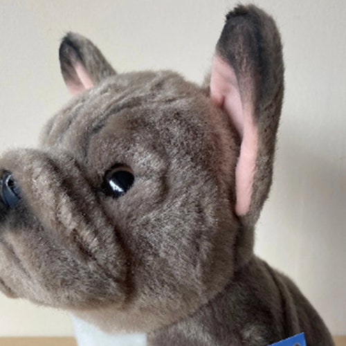 blue bulldog plush
