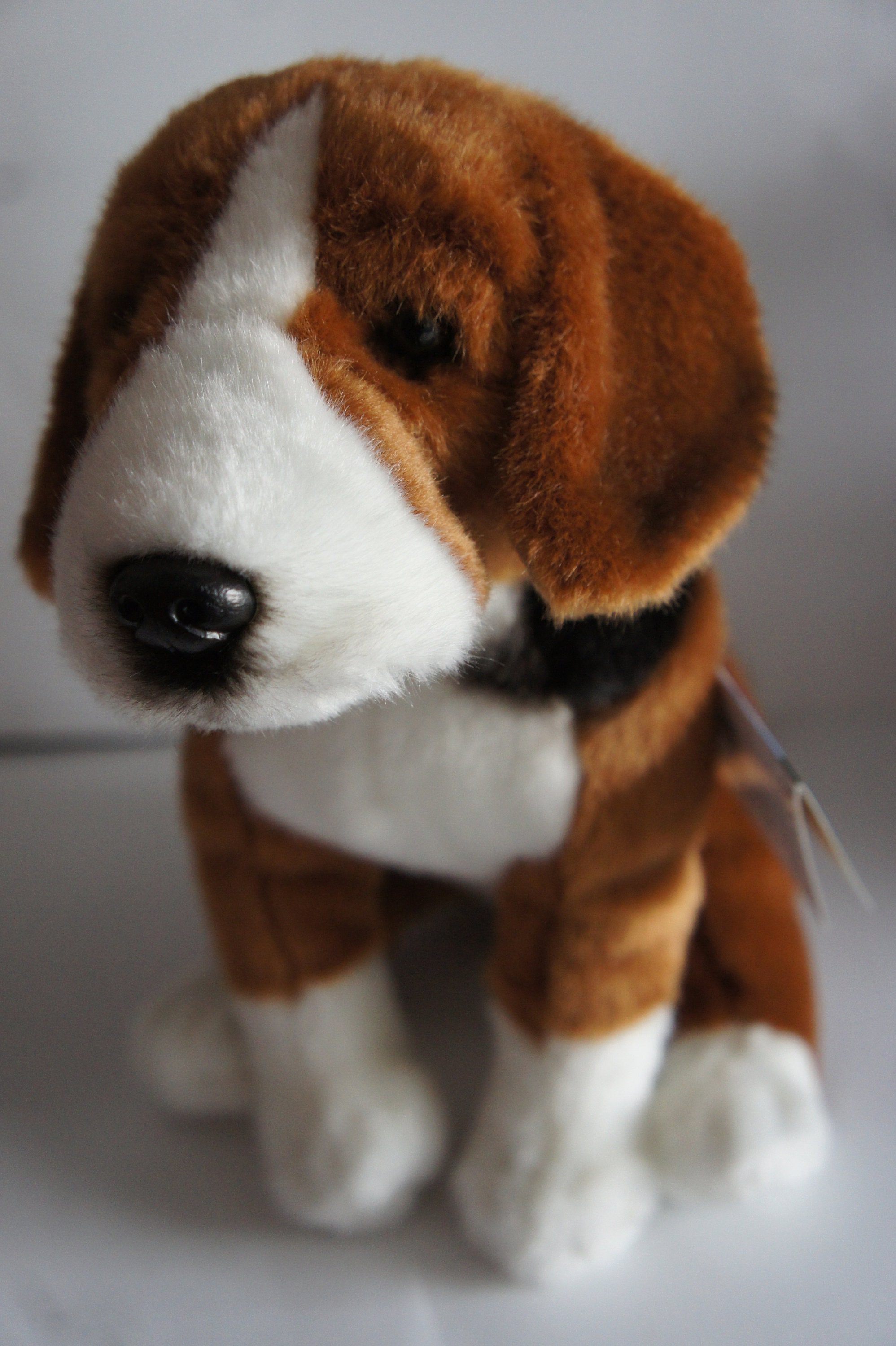 Hand Made Plush BEAGLE Realistic Plush Toy Dog Can Be Gift Wrapped and  Personalized With Engraved Tag 