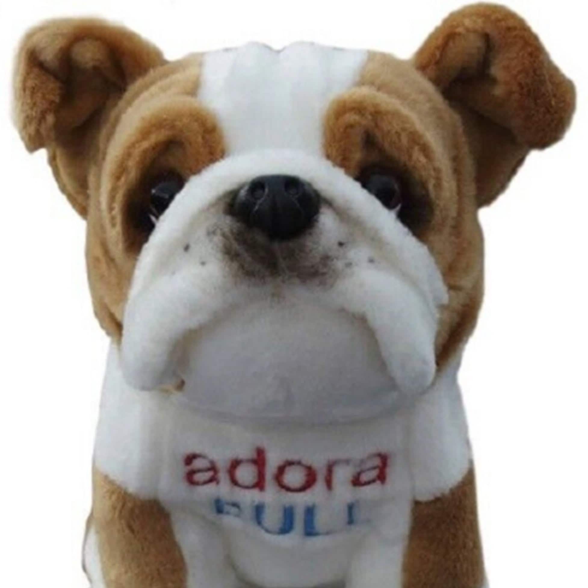 ❤️~ BOCCHETTA PARIS French Bull Dog 30cm/12' Fawn FRENCHIE soft toy BNWT❤️