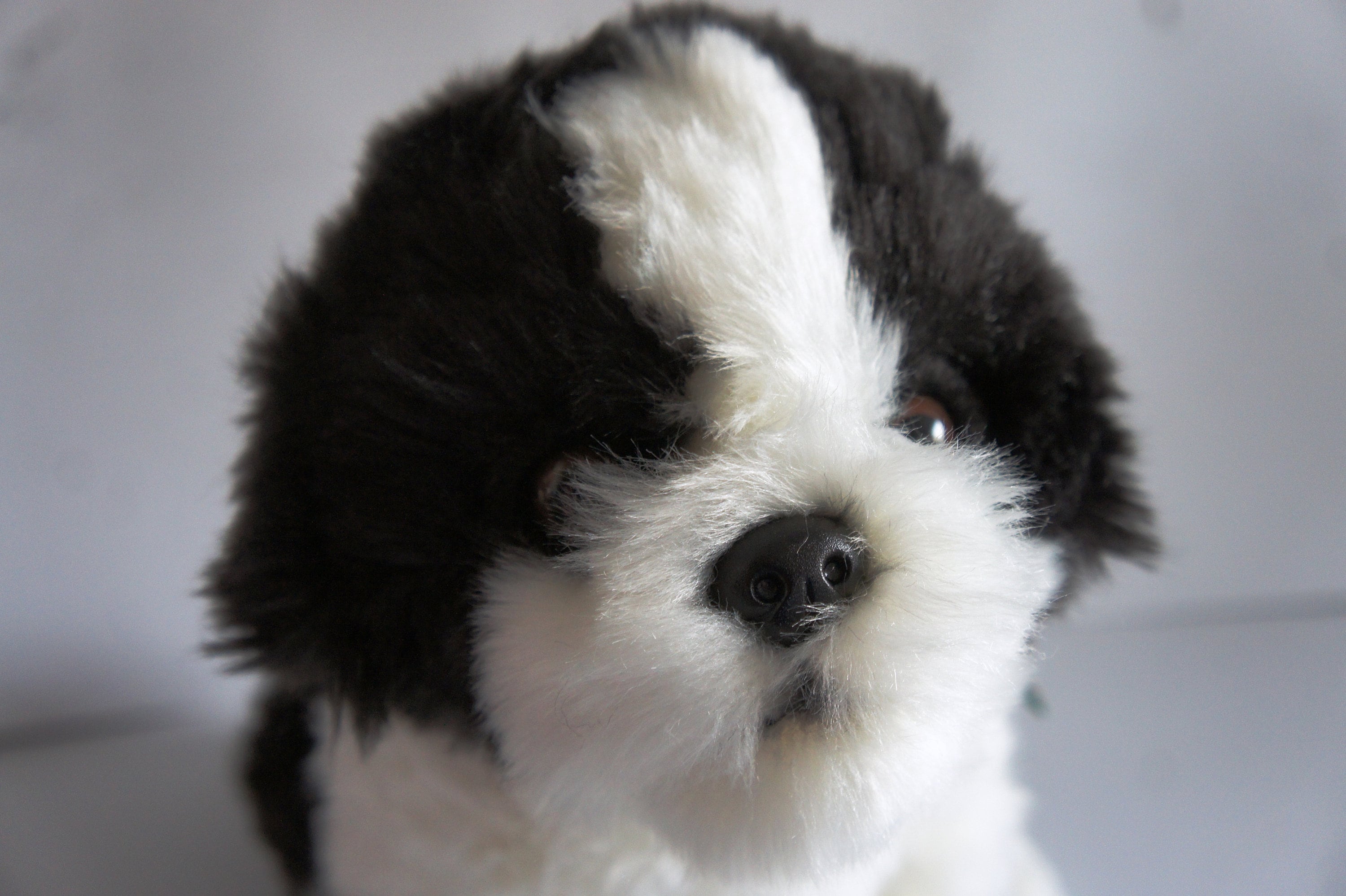 Black and white cheap shih tzu stuffed animal