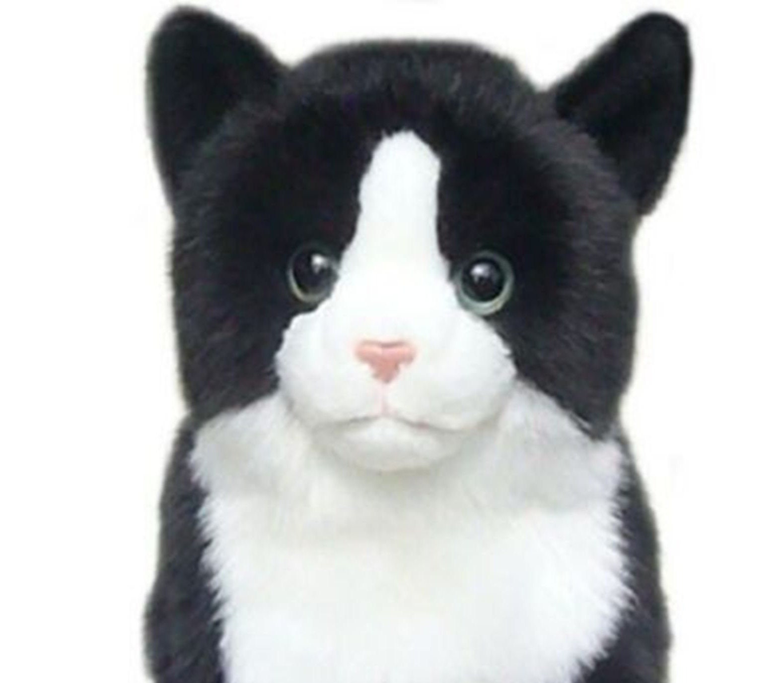 Fabriqué En Japon Réaliste Chat Jouet en Peluche Blackcat L Oeil