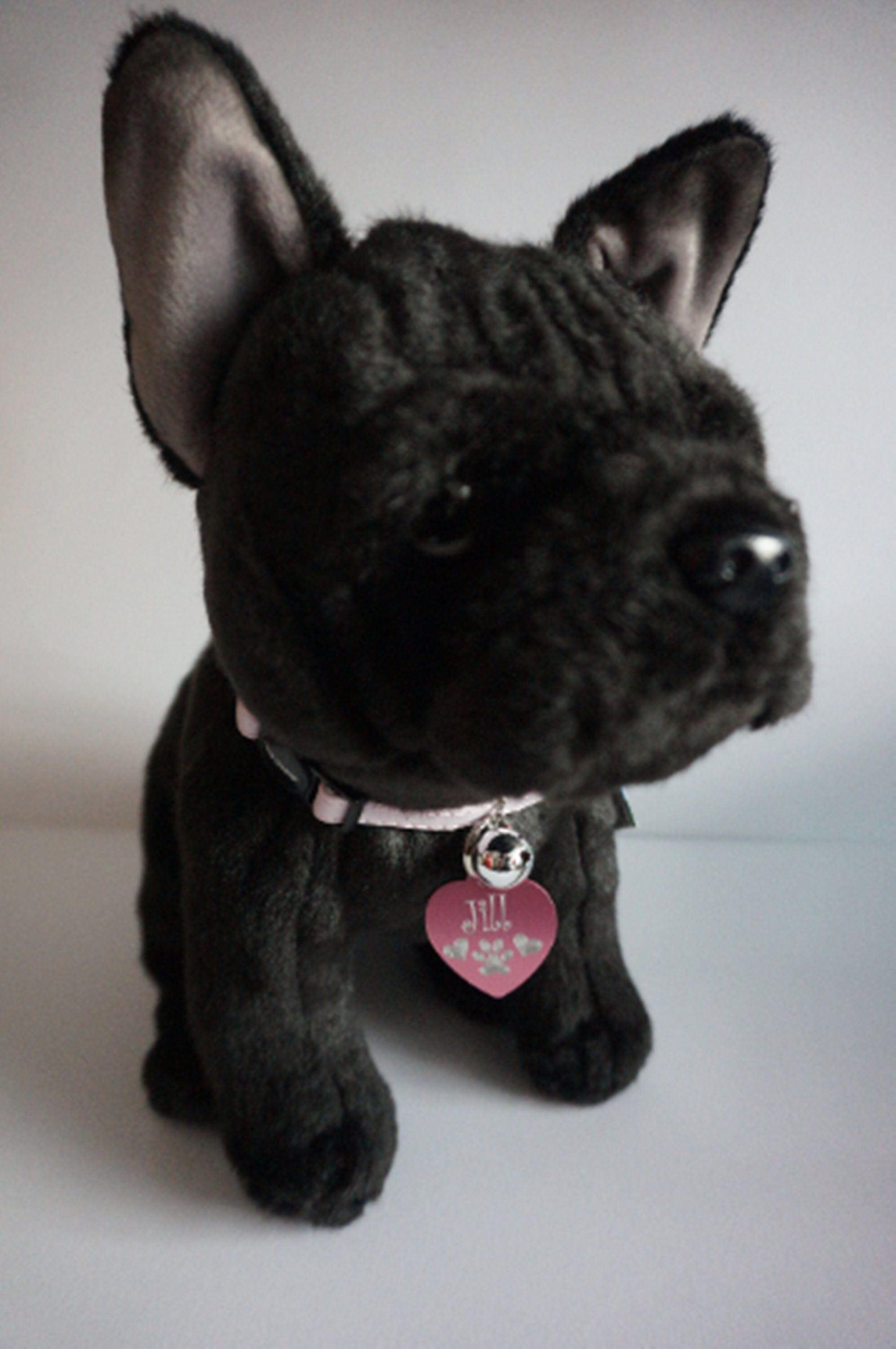 Hand Made Plush Black FRENCH BULLDOG Realistic Plush Toy Dog - Etsy Hand Made Plush Black FRENCH BULLDOG Realistic Plush Toy Dog - Etsy