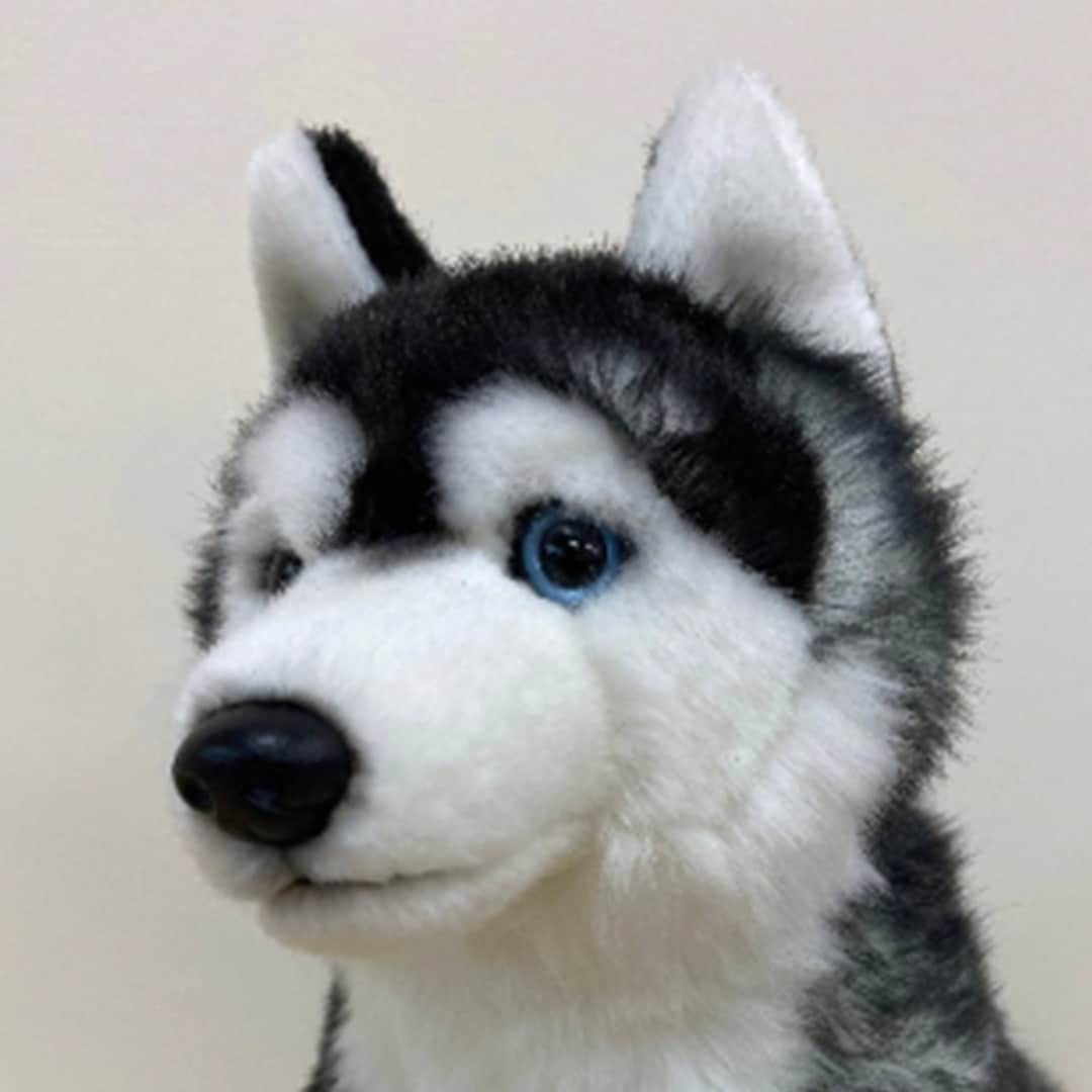 Husky Plush Toy - Realistic Fake Dog from Apollo Box
