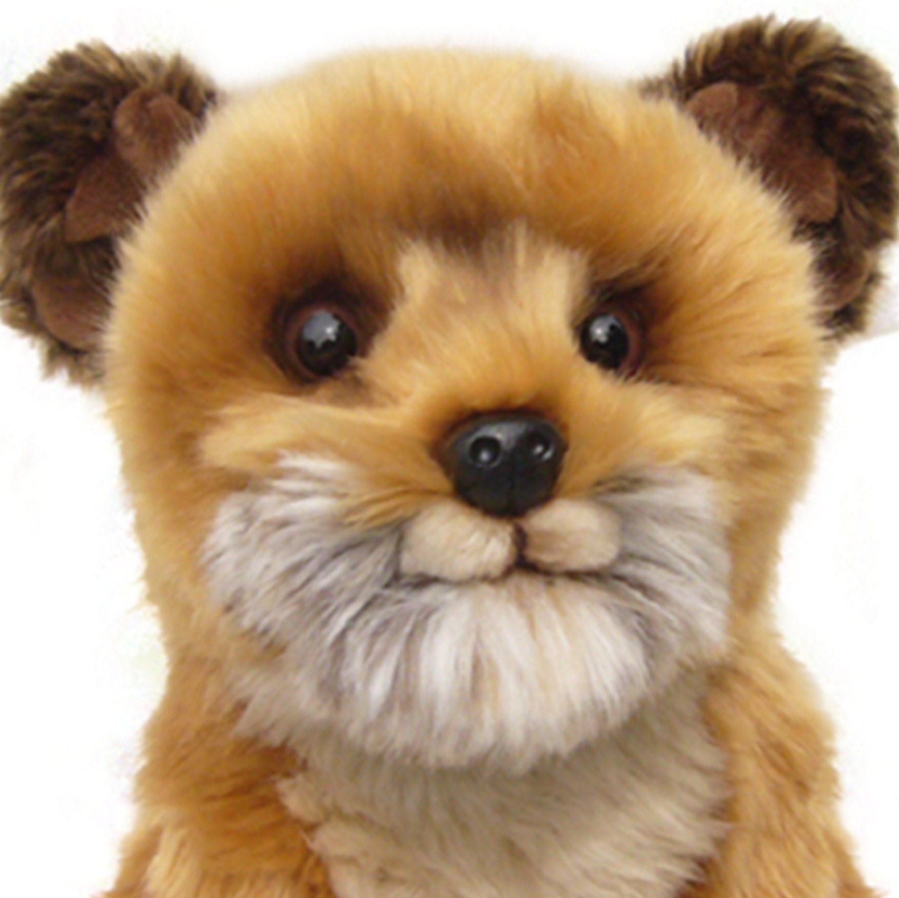 stuffed border terrier