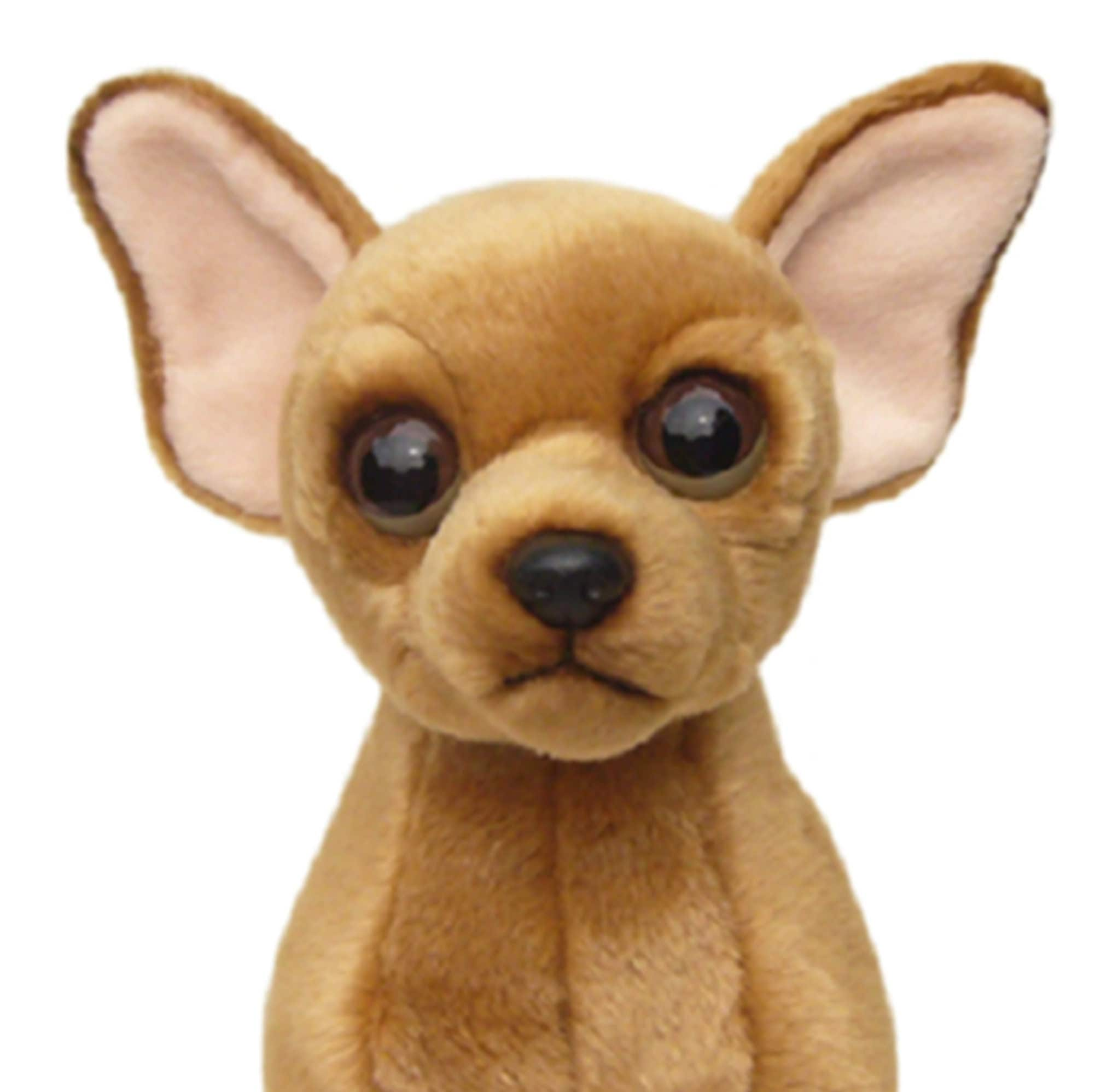 Peluche chien chihuahua