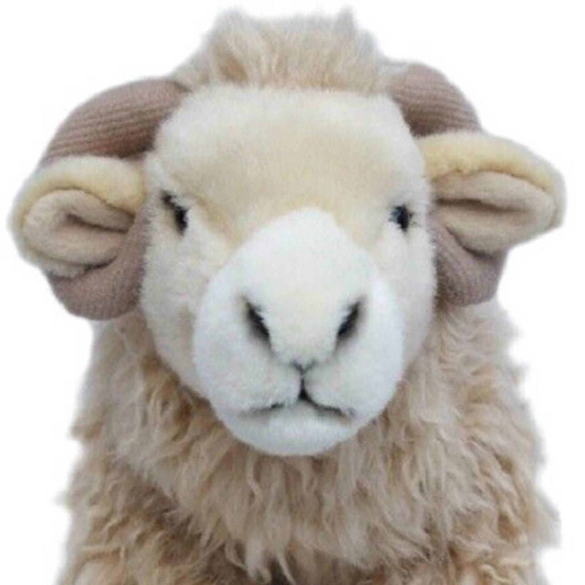 fluffy sheep toy